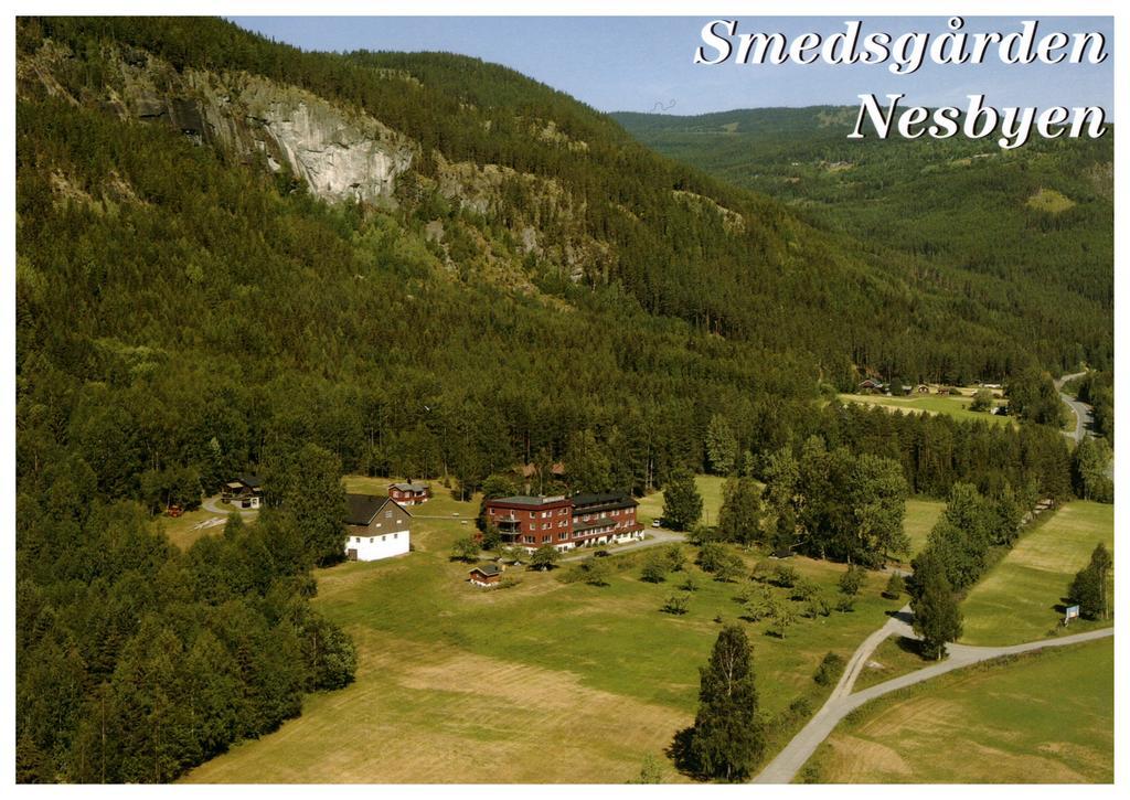 Smedsgården Hotel Nesbyen Exteriör bild